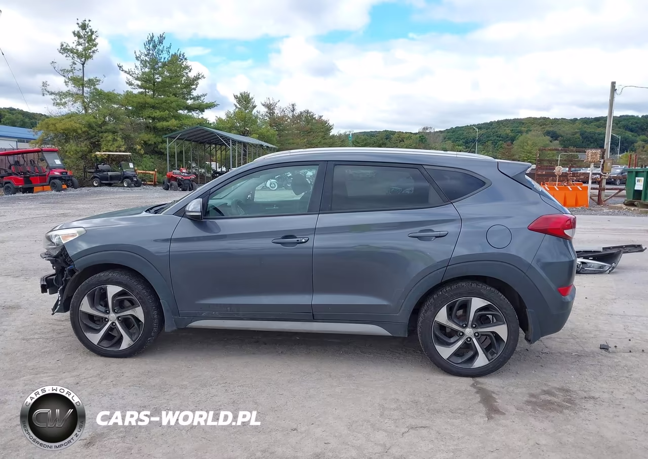 2017 Hyundai Tucson Sport VIN:KM8J3CA25HU388078 - 15