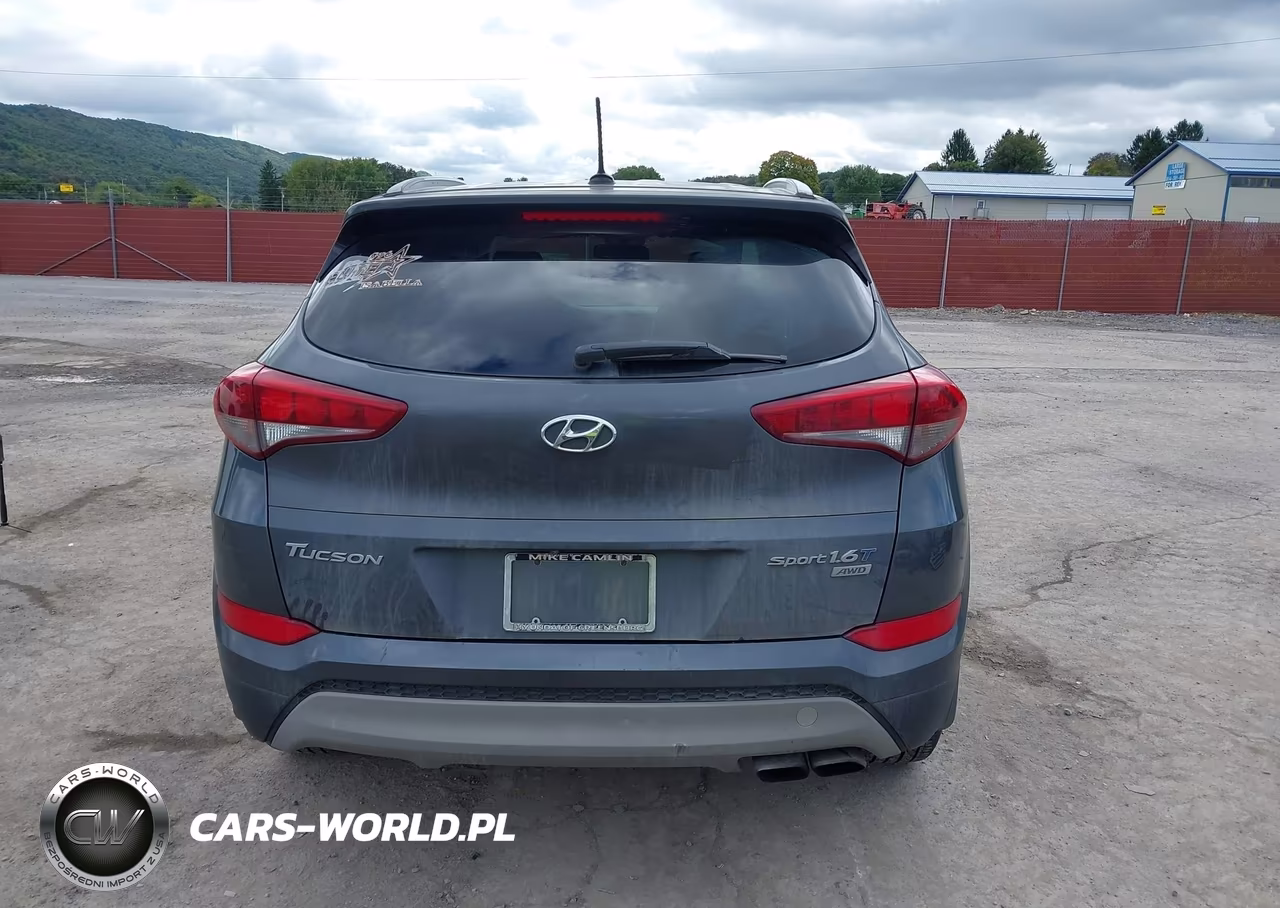 2017 Hyundai Tucson Sport VIN:KM8J3CA25HU388078 - 17