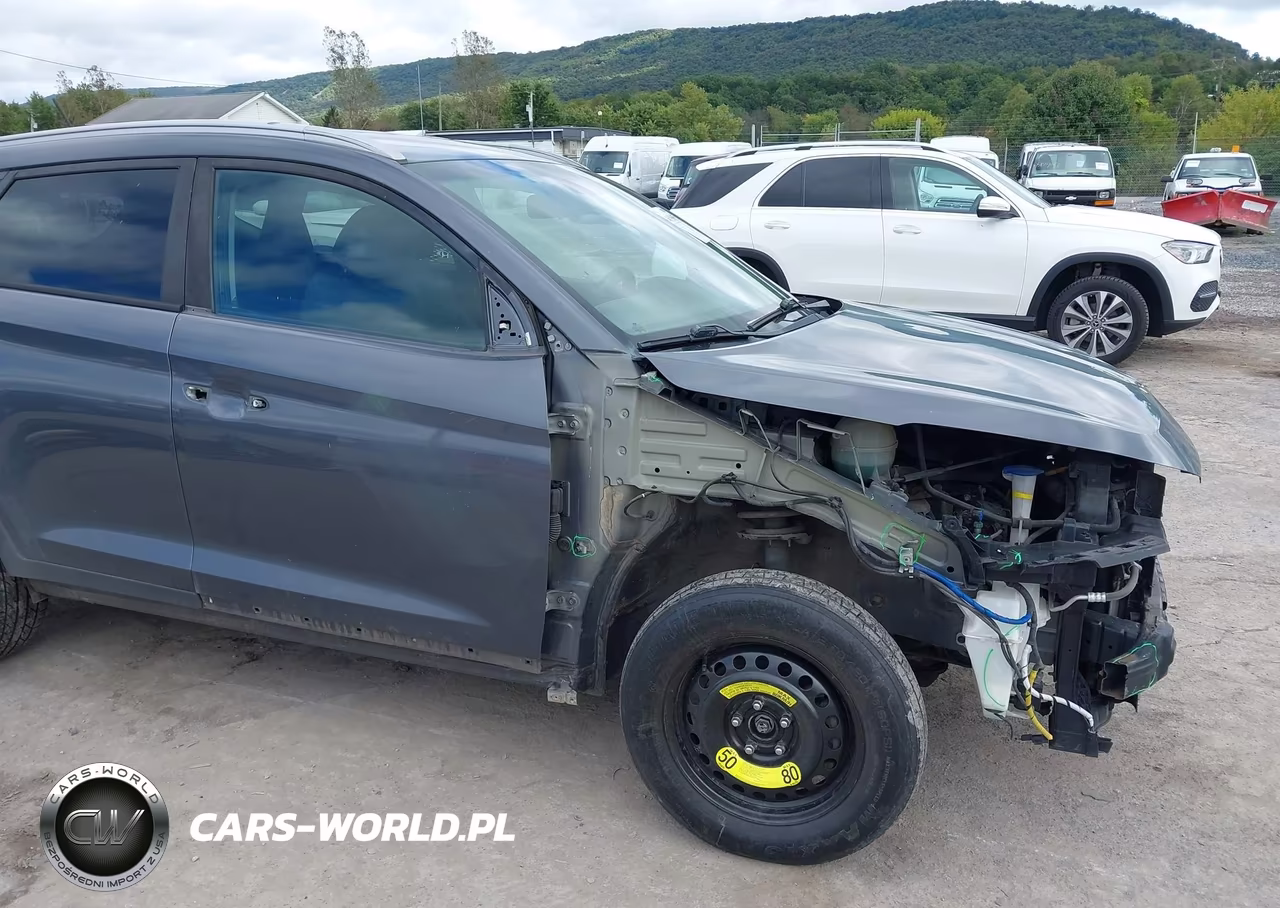 2017 Hyundai Tucson Sport VIN:KM8J3CA25HU388078 - 18