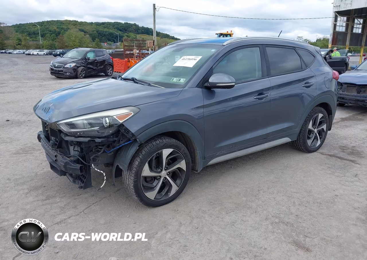 2017 Hyundai Tucson Sport VIN:KM8J3CA25HU388078 - 2