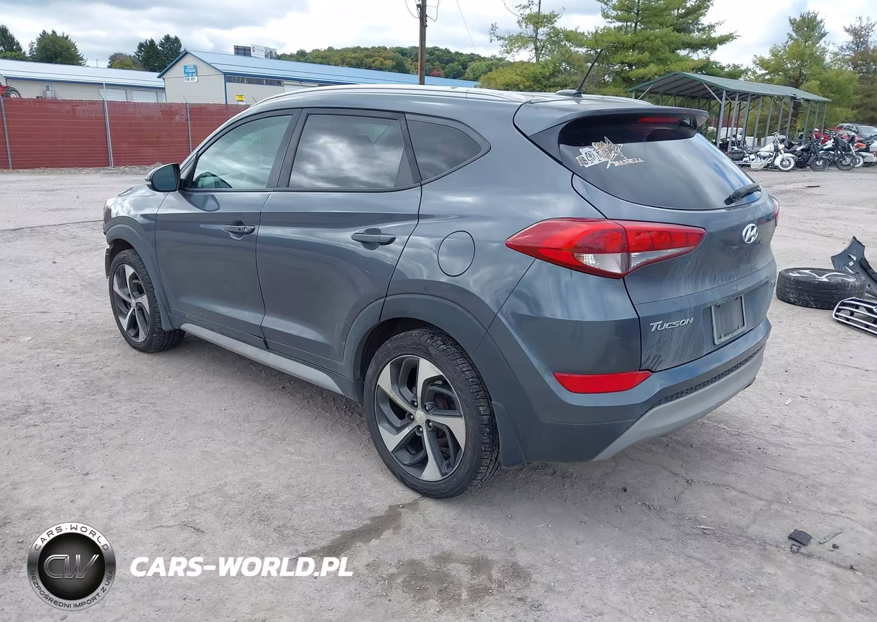 2017 Hyundai Tucson Sport VIN:KM8J3CA25HU388078 - 3