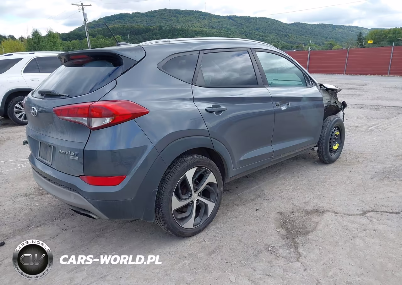 2017 Hyundai Tucson Sport VIN:KM8J3CA25HU388078 - 4