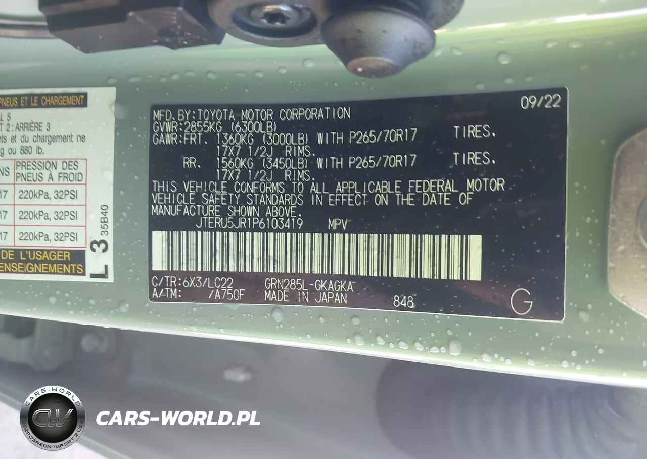 2023 Toyota 4Runner Trd Off Road Premium VIN:JTERU5JR1P6103419 - 9