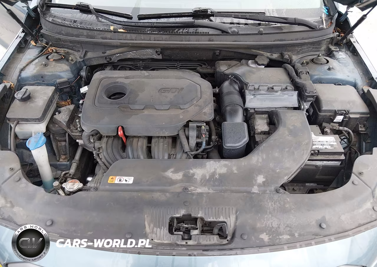 2017 Hyundai Sonata Sport VIN:5NPE34AFXHH453807 - 10