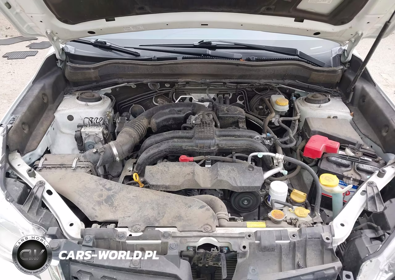 2015 Subaru Forester 2.5I VIN:JF2SJABC4FH841057 - 10