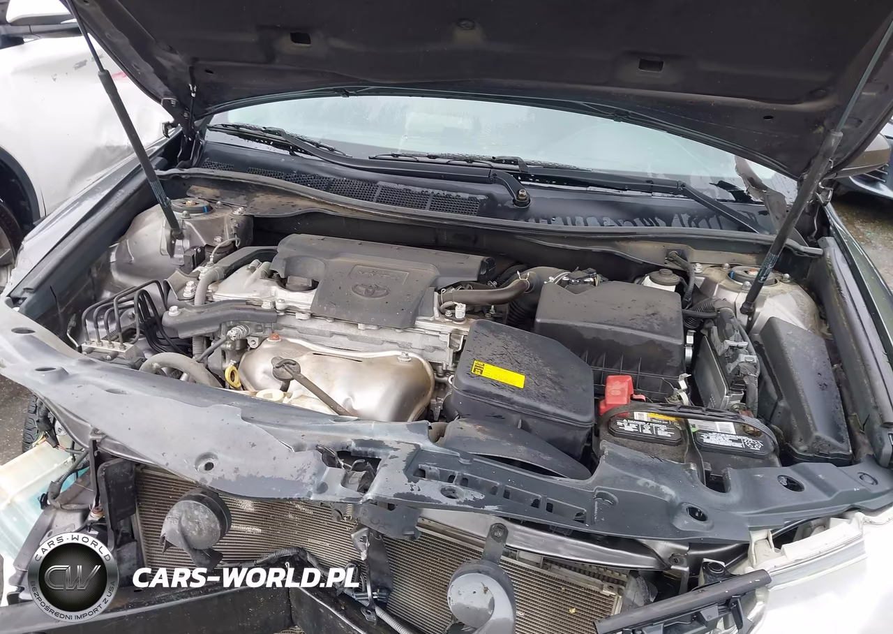 2014 Toyota Camry Se VIN:4T1BF1FK0EU321831 - 10