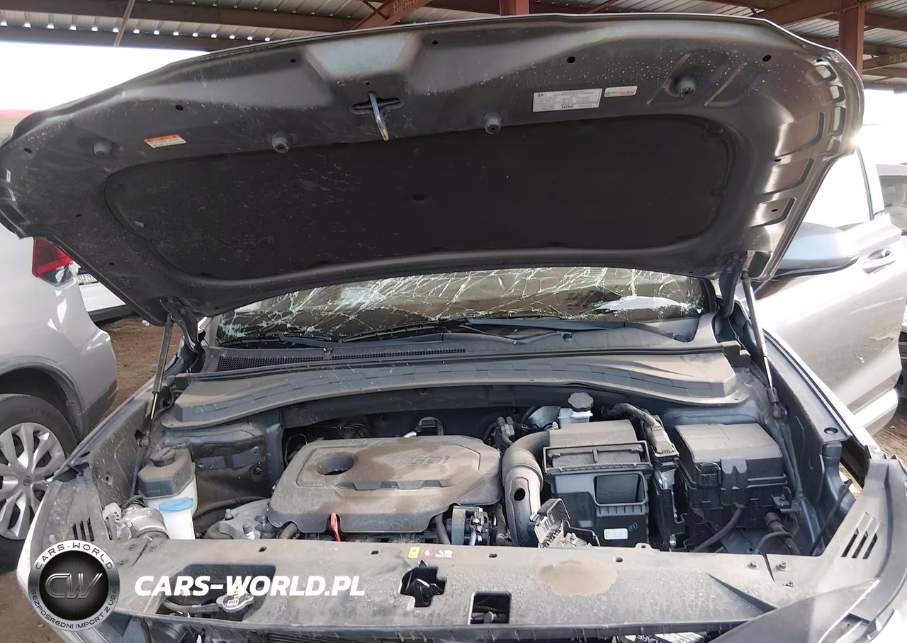 2019 Hyundai Santa Fe Sel VIN:5NMS33AD4KH009659 - 10