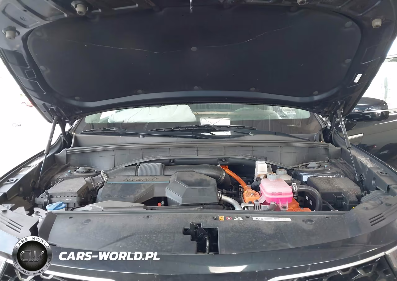 2024 Kia Sorento Hybrid Ex VIN:KNDRH4LG6R5246924 - 10