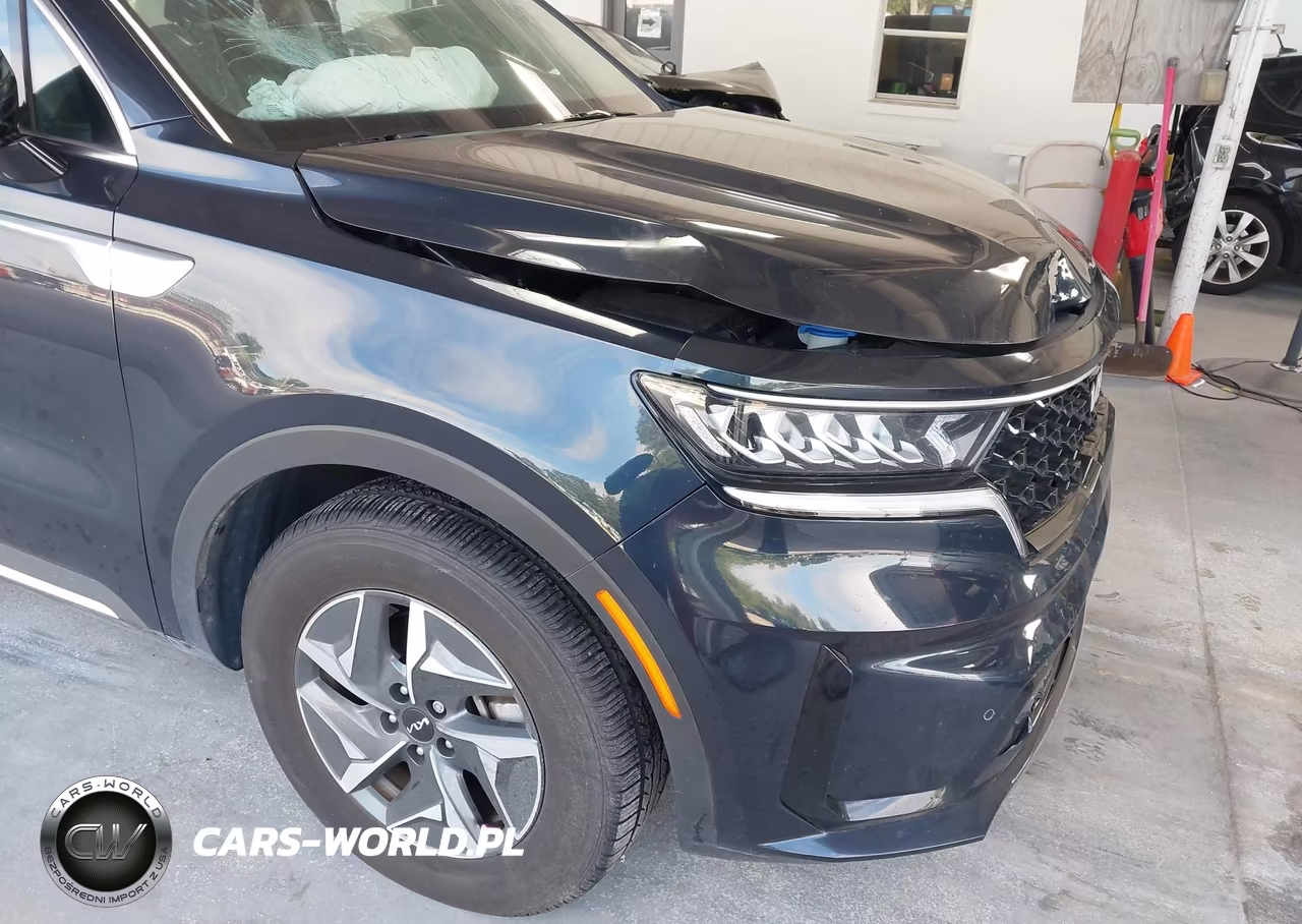 2024 Kia Sorento Hybrid Ex VIN:KNDRH4LG6R5246924 - 6