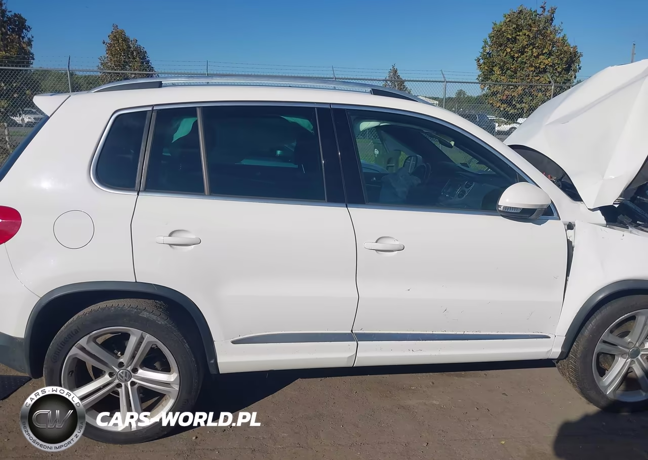 2014 Volkswagen Tiguan R-Line VIN:WVGBV3AX2EW008866 - 14