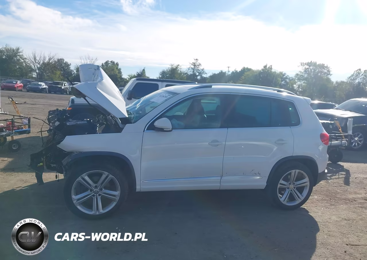 2014 Volkswagen Tiguan R-Line VIN:WVGBV3AX2EW008866 - 15