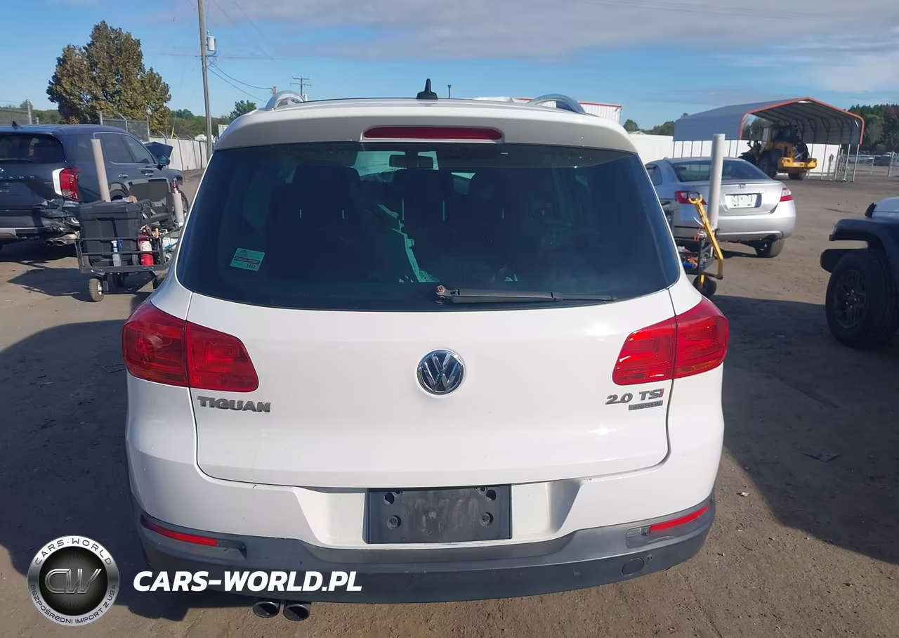 2014 Volkswagen Tiguan R-Line VIN:WVGBV3AX2EW008866 - 17