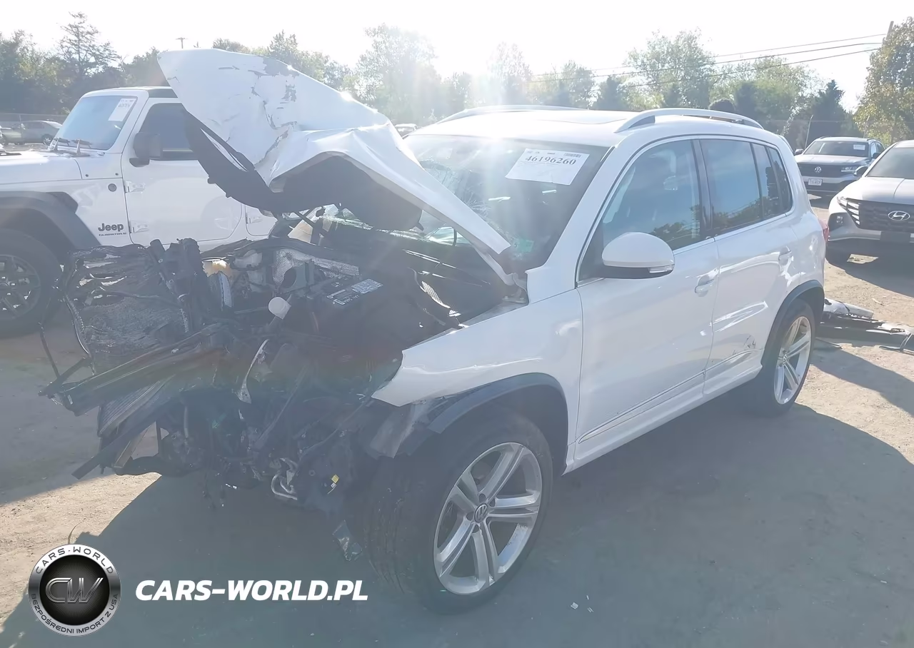 2014 Volkswagen Tiguan R-Line VIN:WVGBV3AX2EW008866 - 2