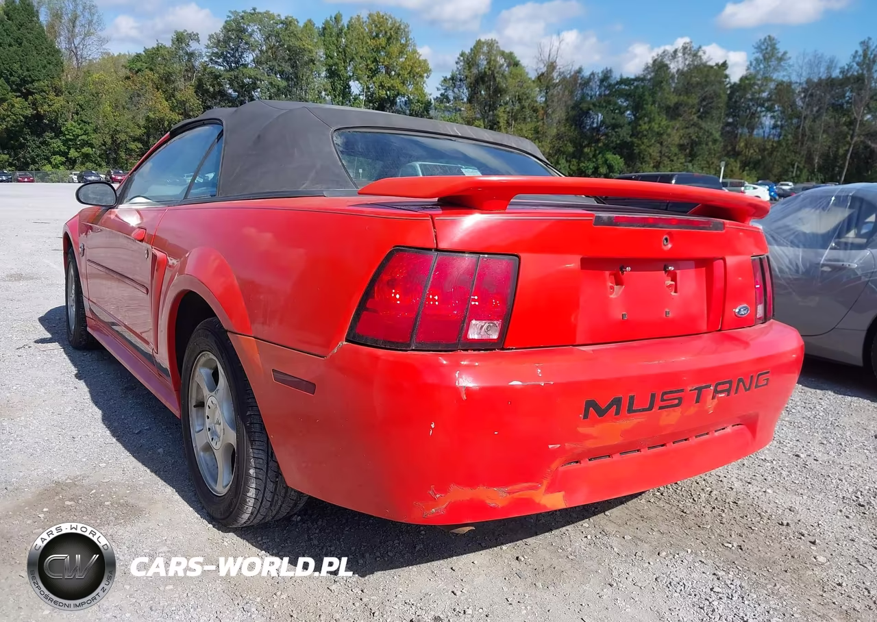 2004 Ford Mustang VIN:1FAFP44664F159402 - 6