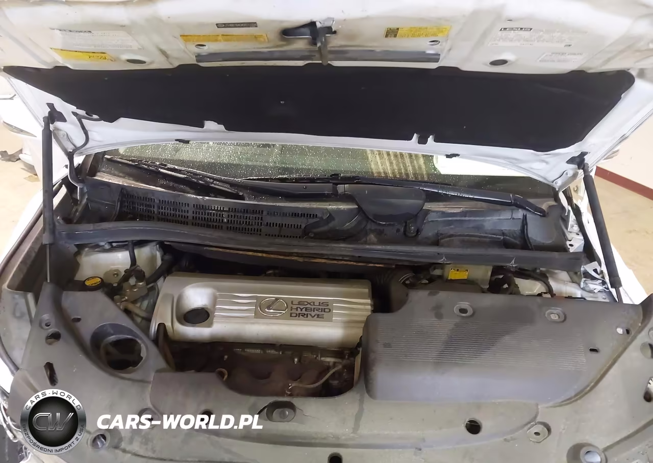 2010 Lexus Hs 250H Premium VIN:JTHBB1BA0A2024026 - 10