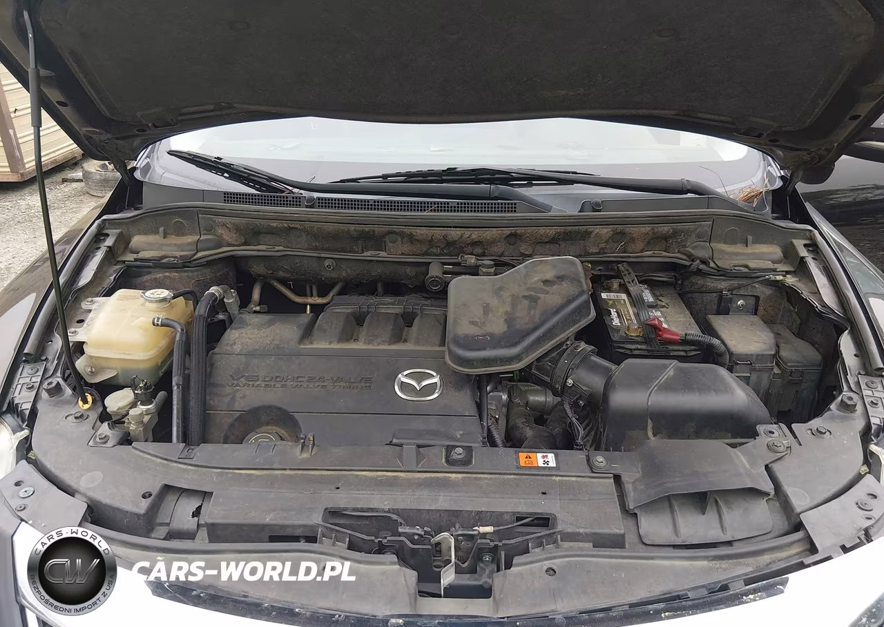 2011 Mazda Cx-9 Grand Touring VIN:JM3TB2DA5B0302156 - 10