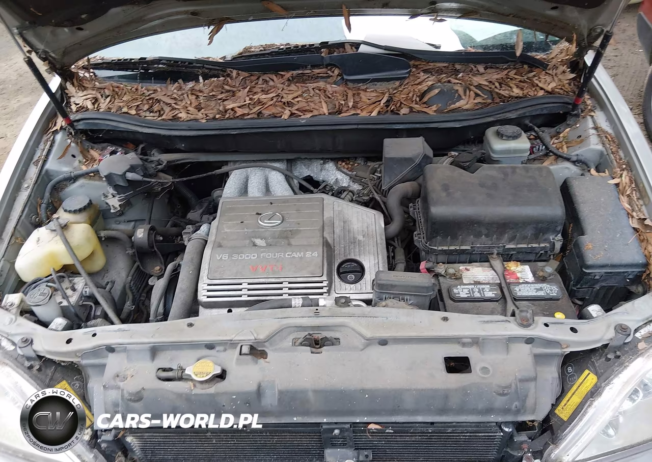 2002 Lexus Rx 300 VIN:JTJGF10U820141971 - 10