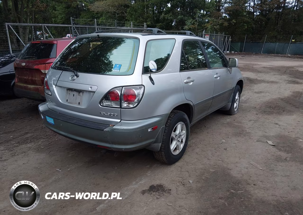 2002 Lexus Rx 300 VIN:JTJGF10U820141971 - 4