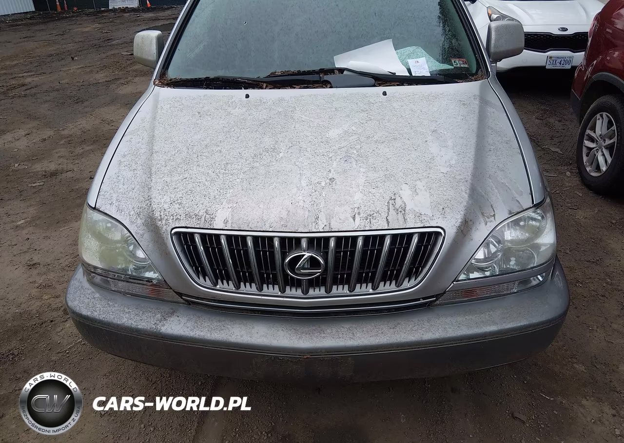 2002 Lexus Rx 300 VIN:JTJGF10U820141971 - 6