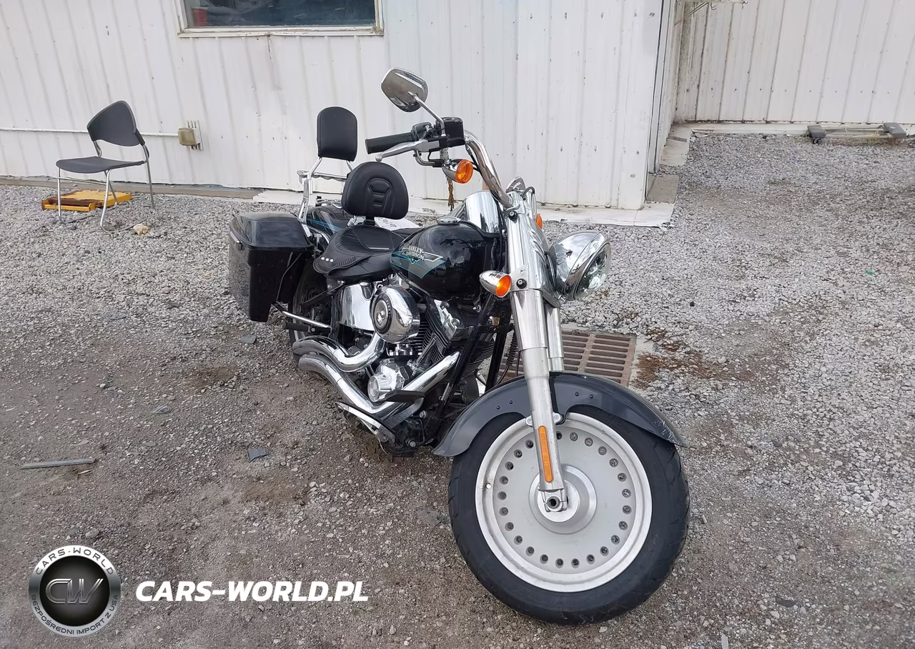 2009 Harley-Davidson Flstf