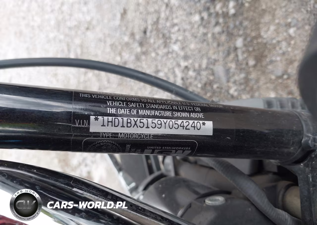 2009 Harley-Davidson Flstf VIN:1HD1BX5159Y054240 - 10
