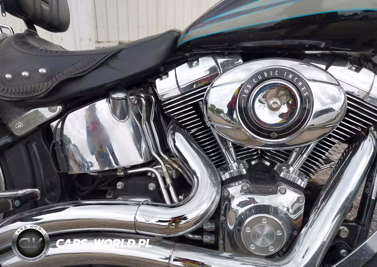 2009 Harley-Davidson Flstf VIN:1HD1BX5159Y054240 - 8