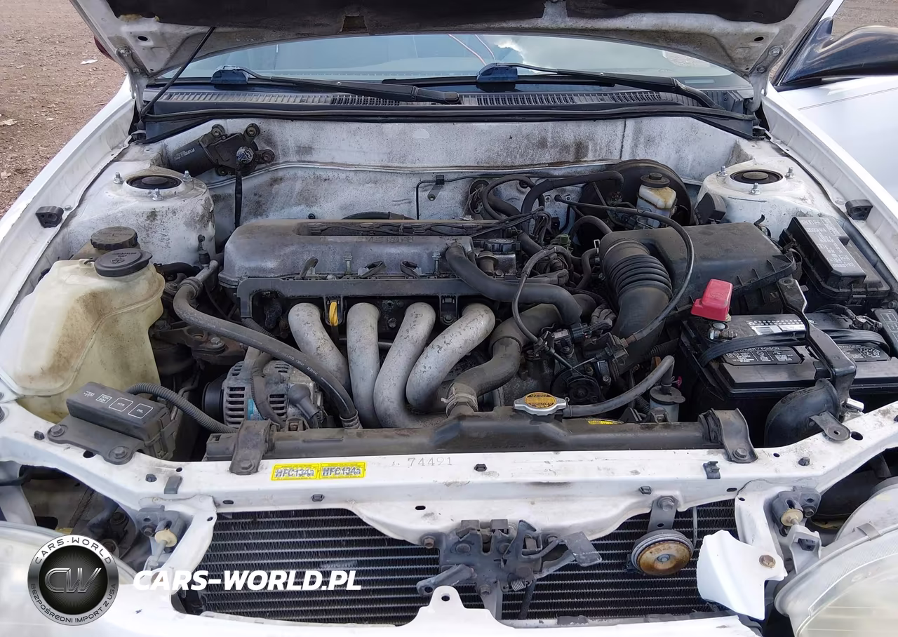1999 Toyota Corolla Ve VIN:2T1BR12E0XC166452 - 10
