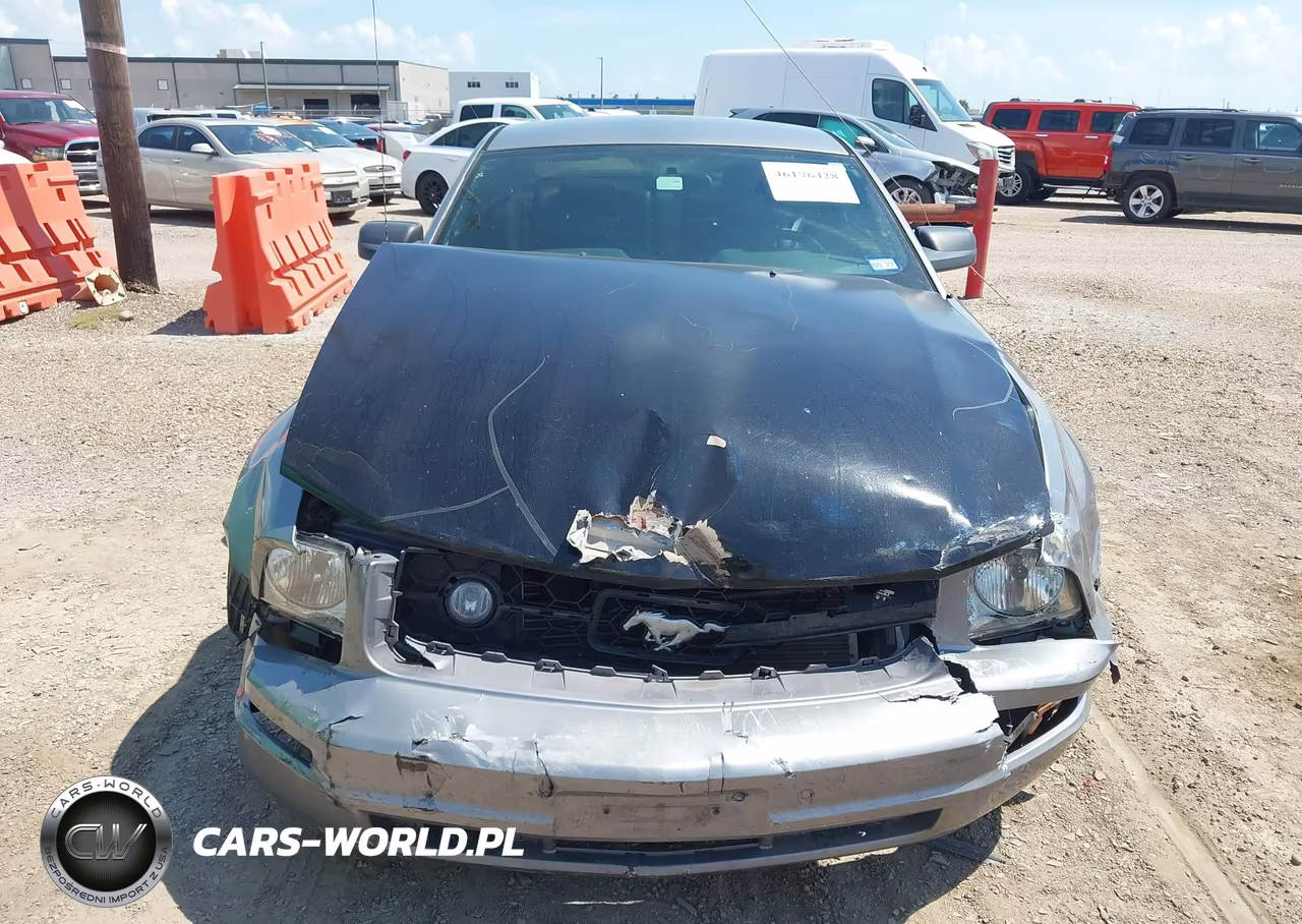 2007 Ford Mustang Deluxe-Premium VIN:1ZVFT80N975256028 - 13
