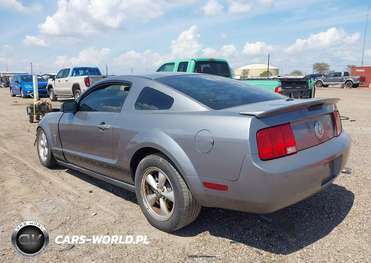 2007 Ford Mustang Deluxe-Premium VIN:1ZVFT80N975256028 - 3