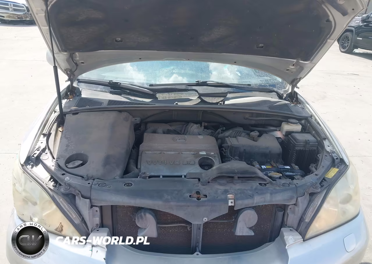 2005 Lexus Rx 330 VIN:2T2HA31U55C078706 - 10