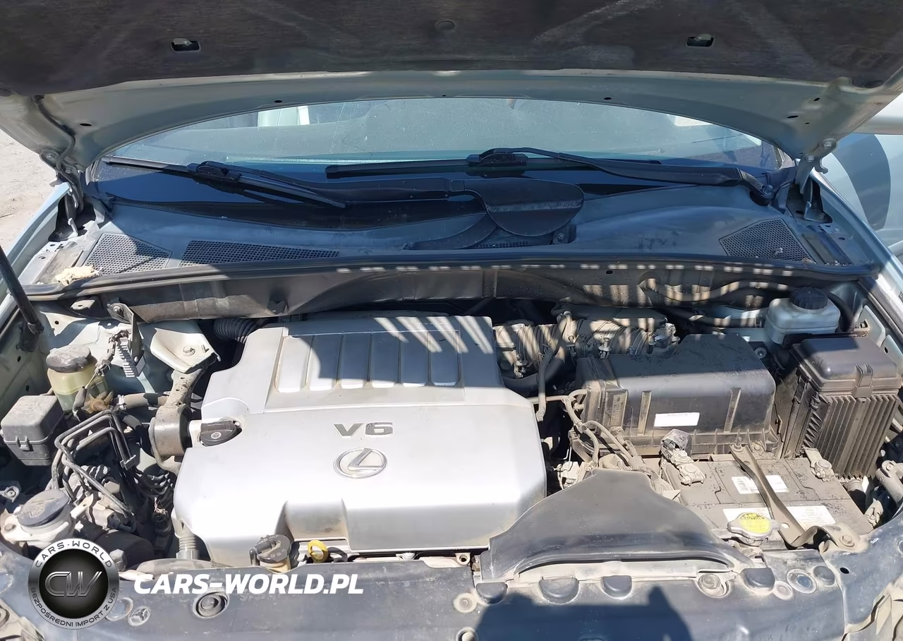 2009 Lexus Rx 350 VIN:2T2HK31U29C097863 - 10