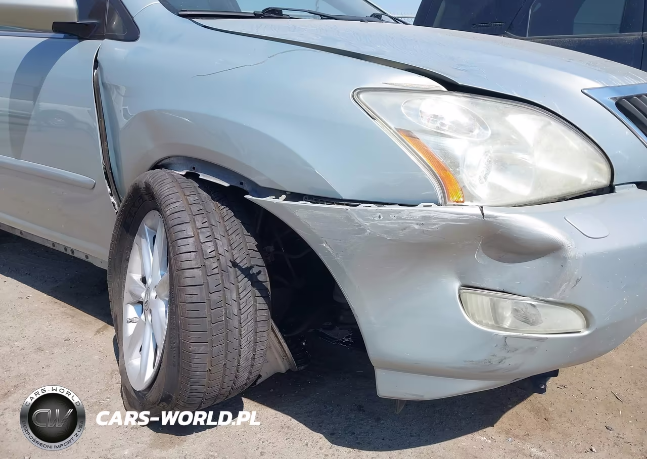 2009 Lexus Rx 350 VIN:2T2HK31U29C097863 - 6