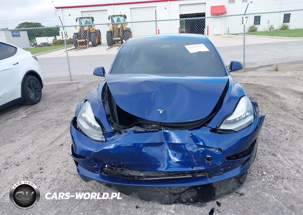 2020 Tesla Model 3 Standard Range Plus Rear-Wheel Drive-Standard Range Rear-Wheel Drive VIN:5YJ3E1EA1LF629746 - 11