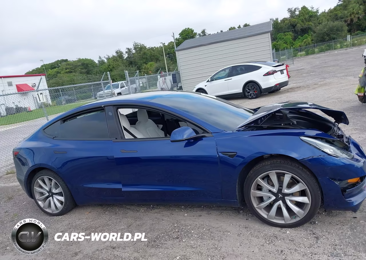 2020 Tesla Model 3 Standard Range Plus Rear-Wheel Drive-Standard Range Rear-Wheel Drive VIN:5YJ3E1EA1LF629746 - 12