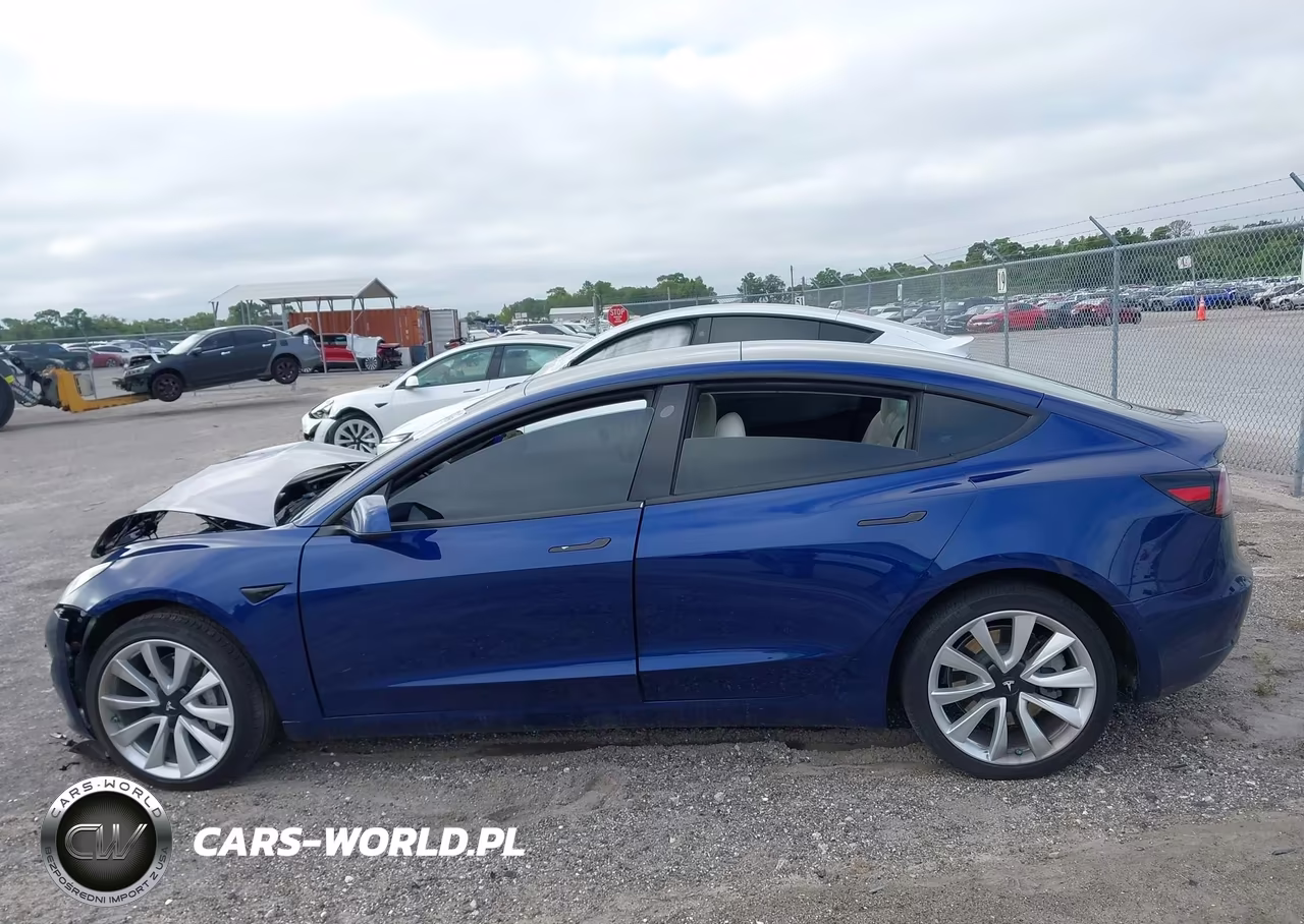 2020 Tesla Model 3 Standard Range Plus Rear-Wheel Drive-Standard Range Rear-Wheel Drive VIN:5YJ3E1EA1LF629746 - 13