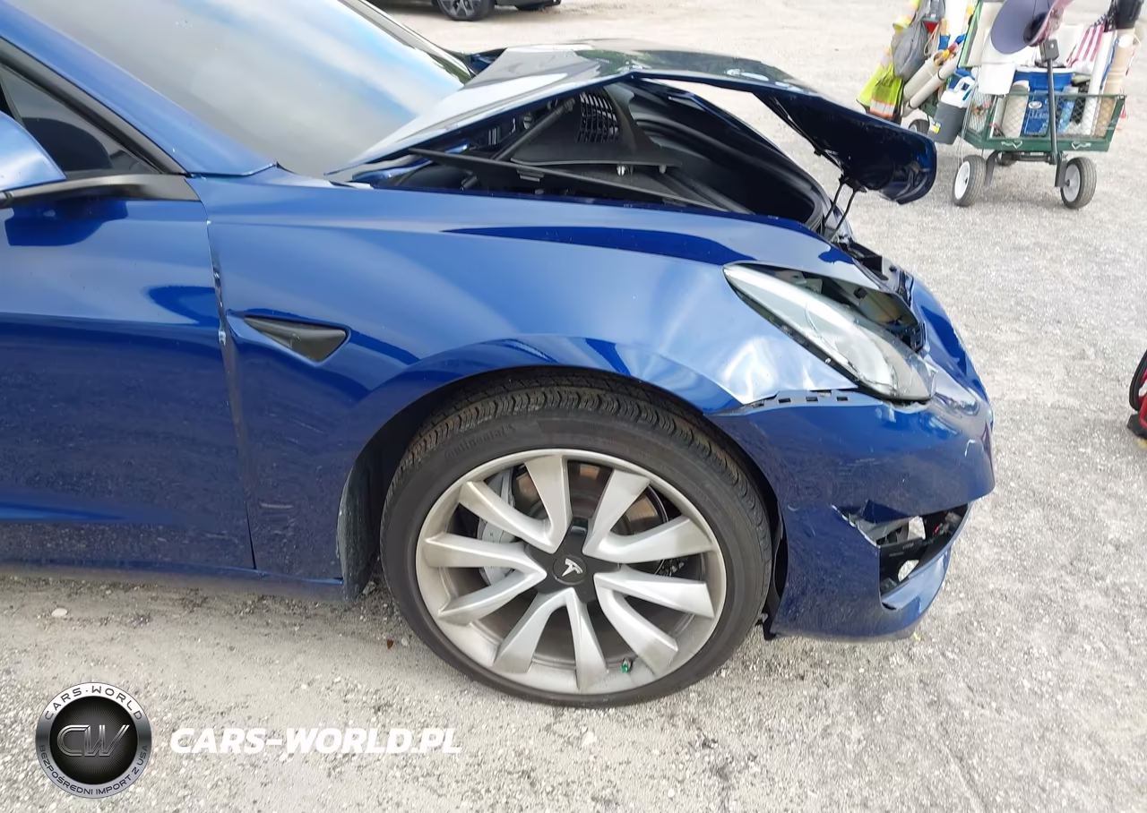 2020 Tesla Model 3 Standard Range Plus Rear-Wheel Drive-Standard Range Rear-Wheel Drive VIN:5YJ3E1EA1LF629746 - 6