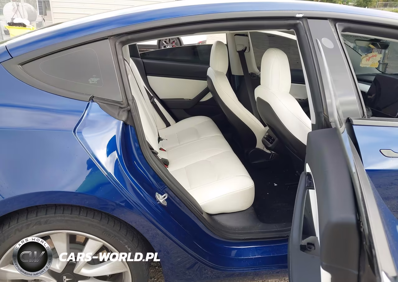 2020 Tesla Model 3 Standard Range Plus Rear-Wheel Drive-Standard Range Rear-Wheel Drive VIN:5YJ3E1EA1LF629746 - 8