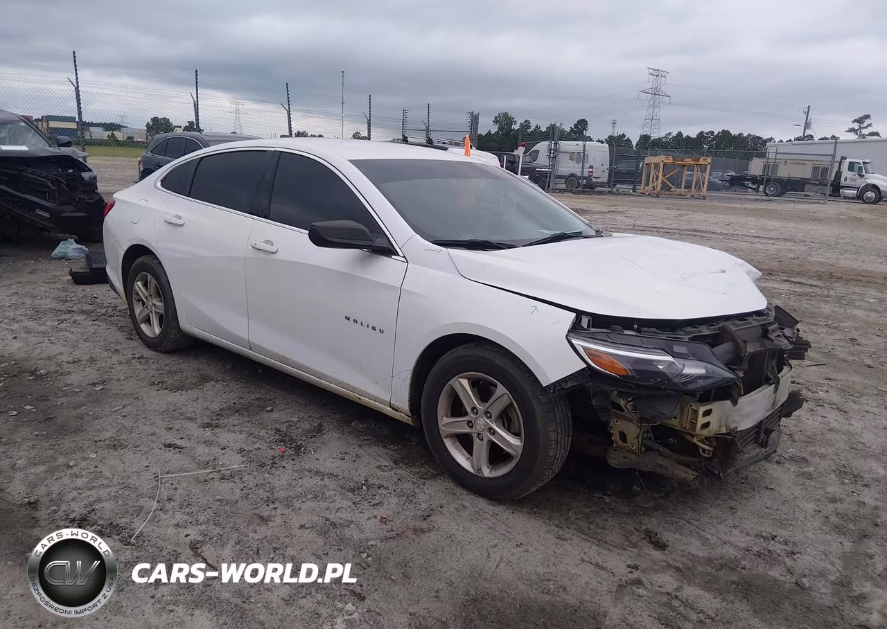 2019 Chevrolet Malibu 1Ls