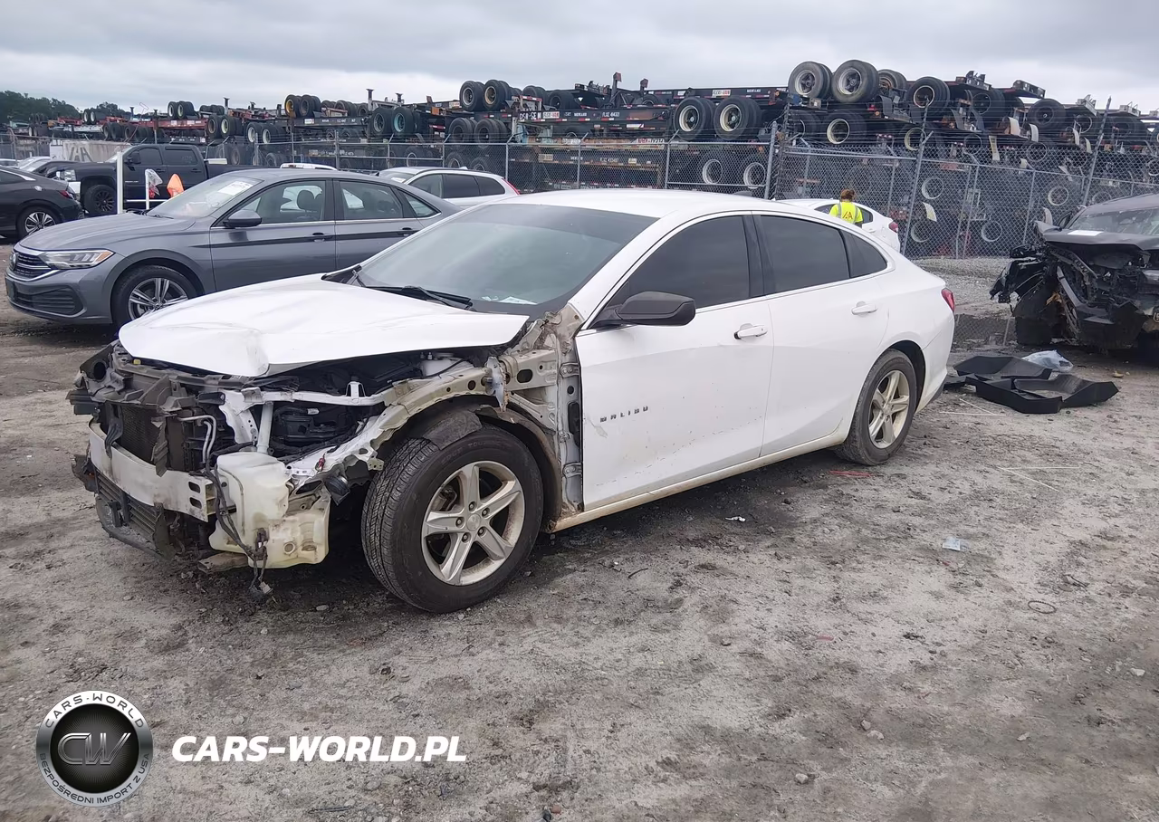 2019 Chevrolet Malibu 1Ls VIN:1G1ZB5ST6KF205773 - 2