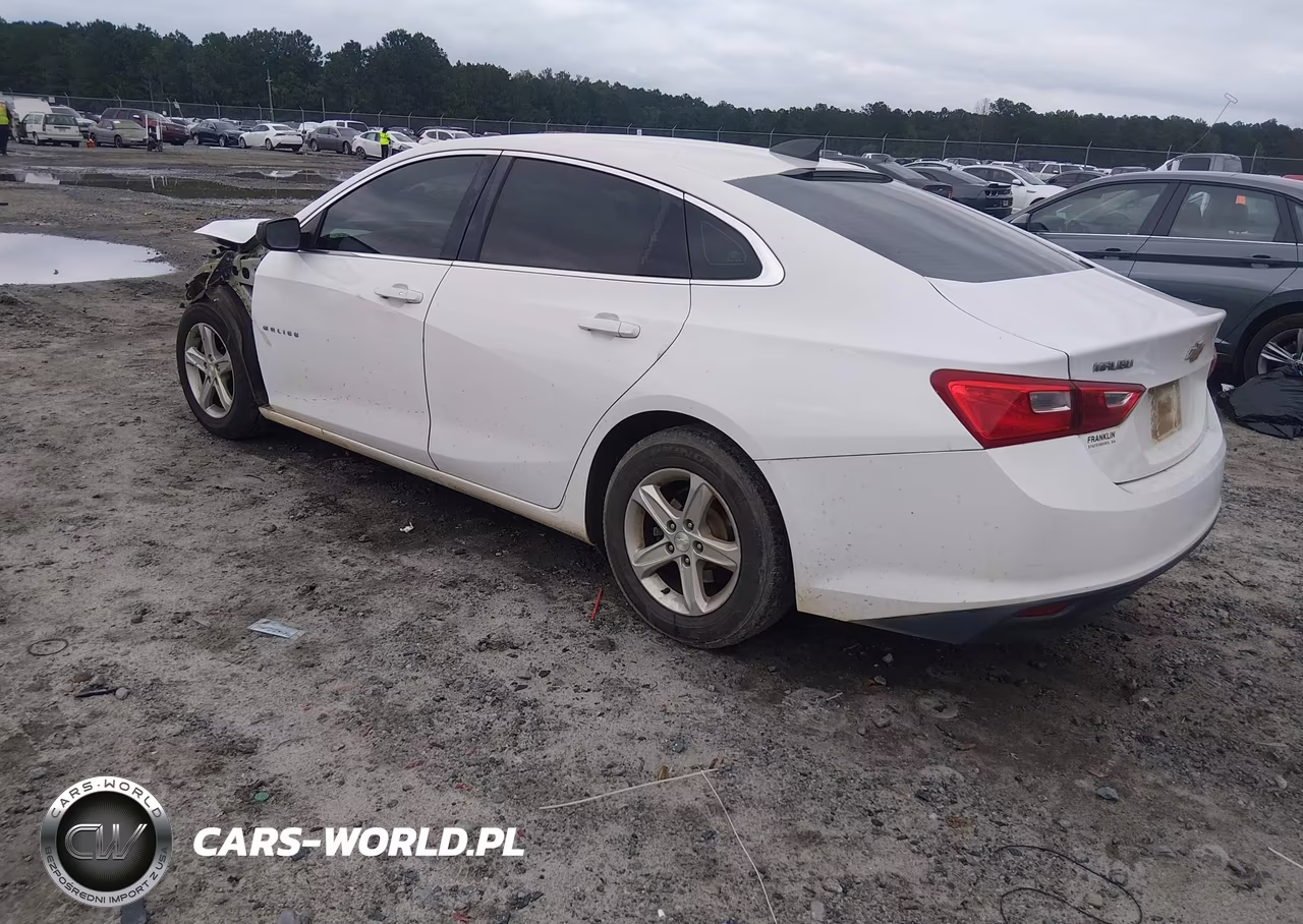 2019 Chevrolet Malibu 1Ls VIN:1G1ZB5ST6KF205773 - 3