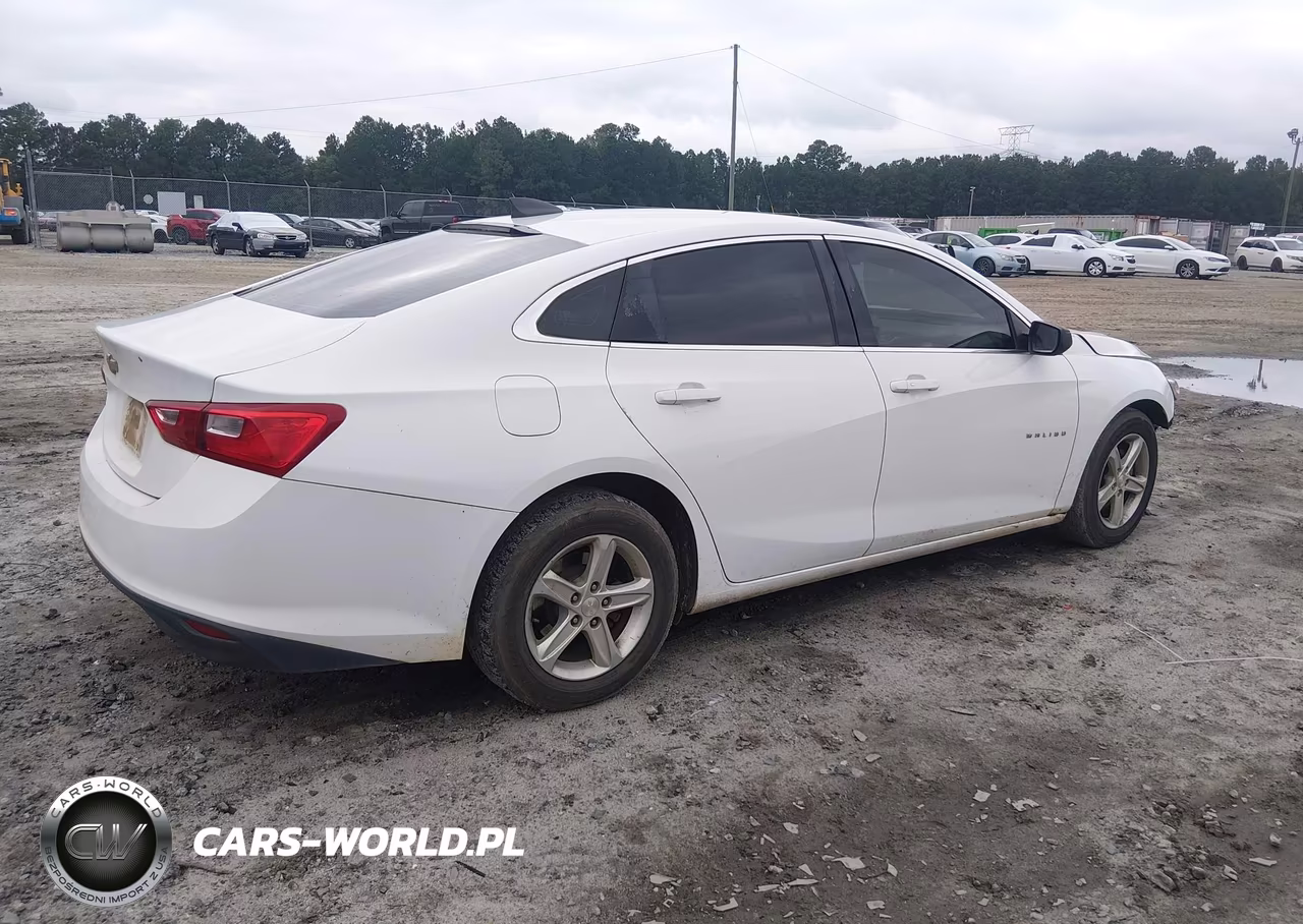 2019 Chevrolet Malibu 1Ls VIN:1G1ZB5ST6KF205773 - 4
