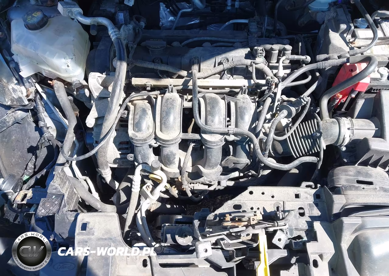 2014 Ford Fiesta Se VIN:3FADP4BJ0EM148119 - 10