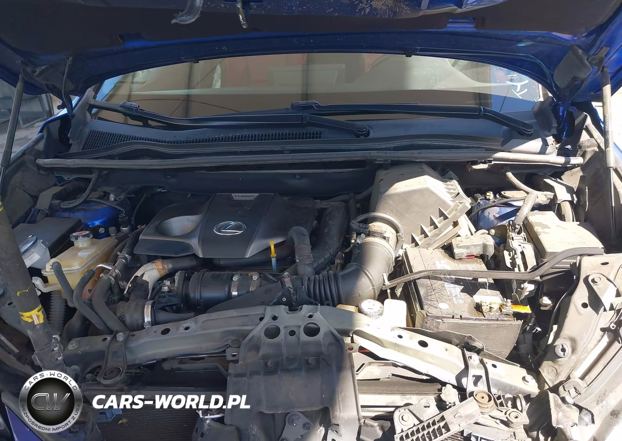 2019 Lexus Nx 300 F Sport VIN:JTJYARBZ2K2136070 - 10