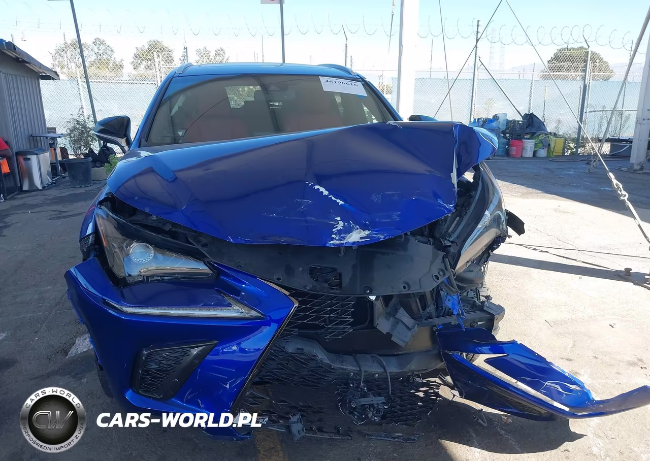 2019 Lexus Nx 300 F Sport VIN:JTJYARBZ2K2136070 - 12