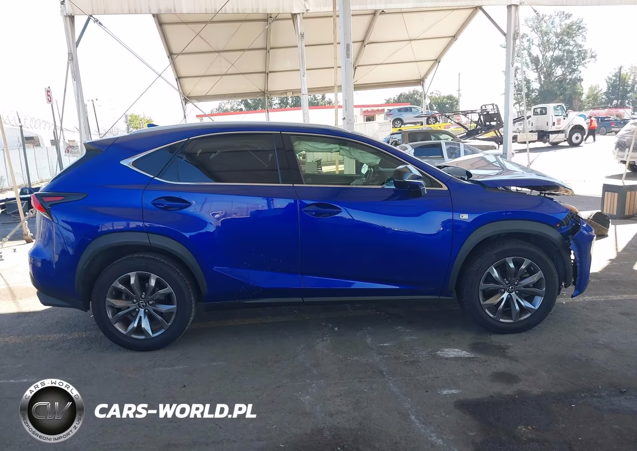 2019 Lexus Nx 300 F Sport VIN:JTJYARBZ2K2136070 - 13
