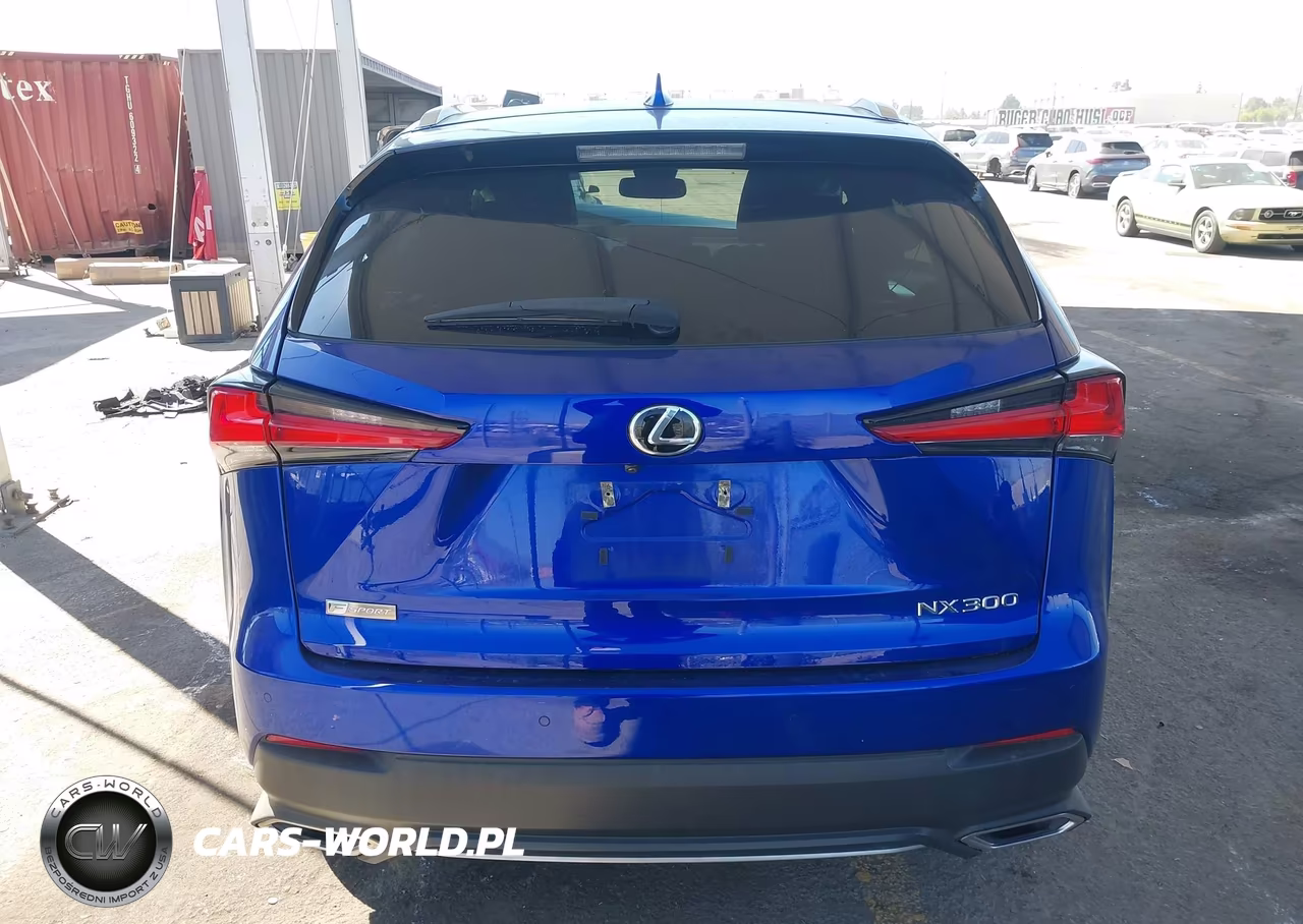 2019 Lexus Nx 300 F Sport VIN:JTJYARBZ2K2136070 - 16