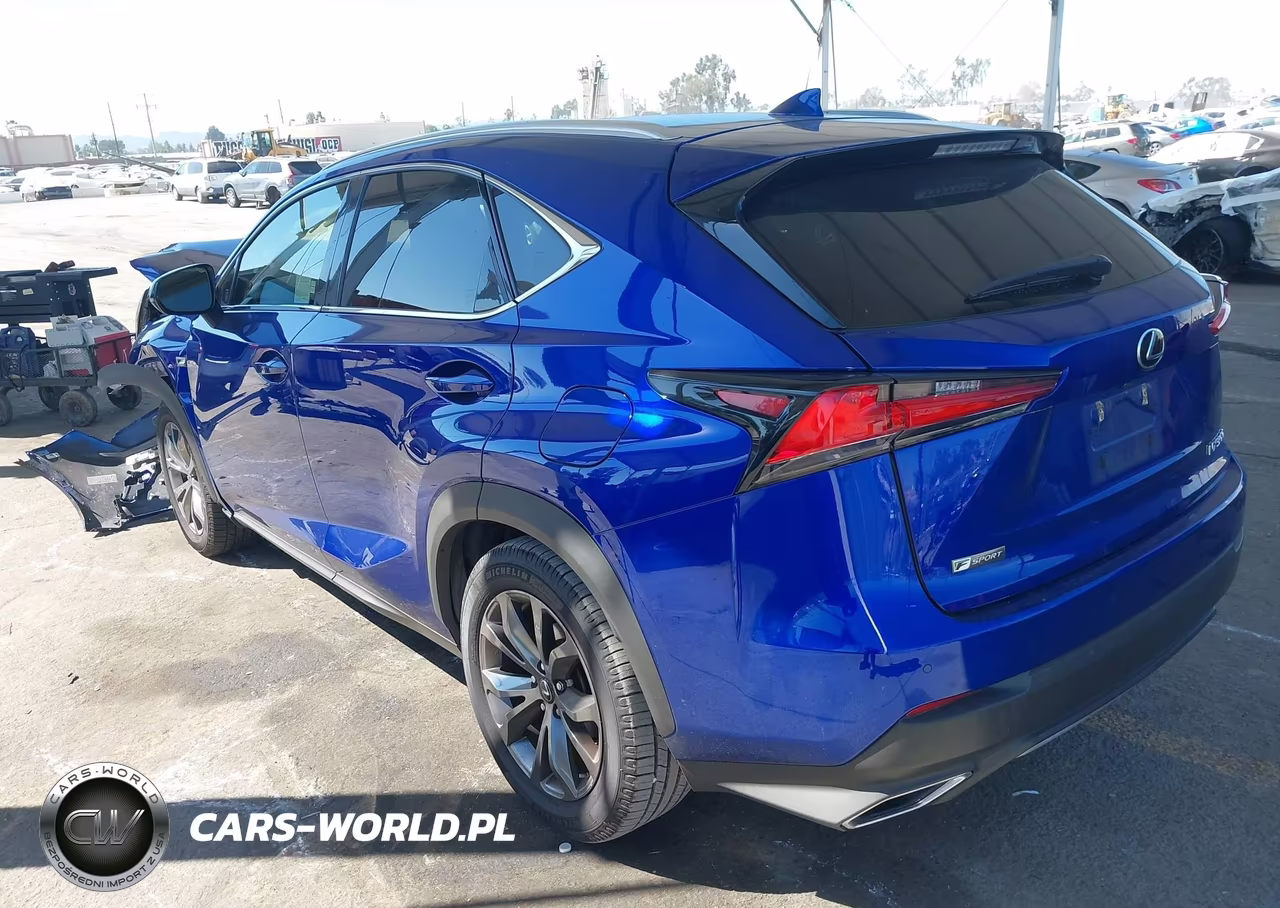 2019 Lexus Nx 300 F Sport VIN:JTJYARBZ2K2136070 - 3