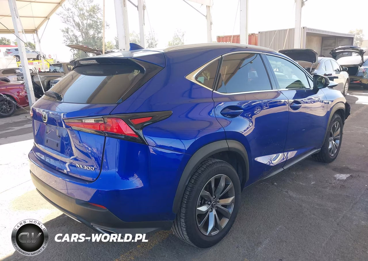 2019 Lexus Nx 300 F Sport VIN:JTJYARBZ2K2136070 - 4