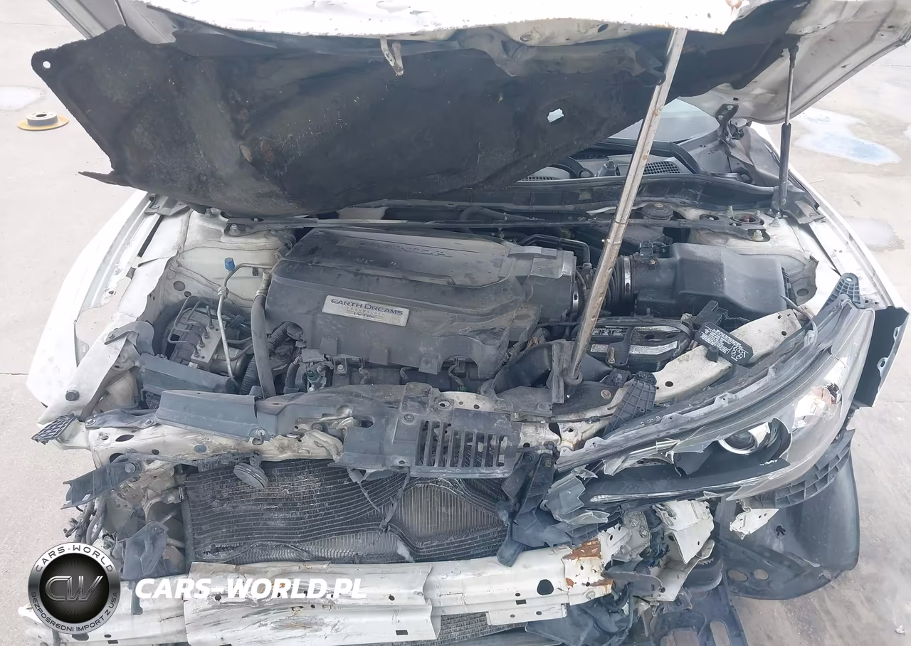 2014 Honda Accord Ex-L VIN:1HGCR3F88EA025555 - 10