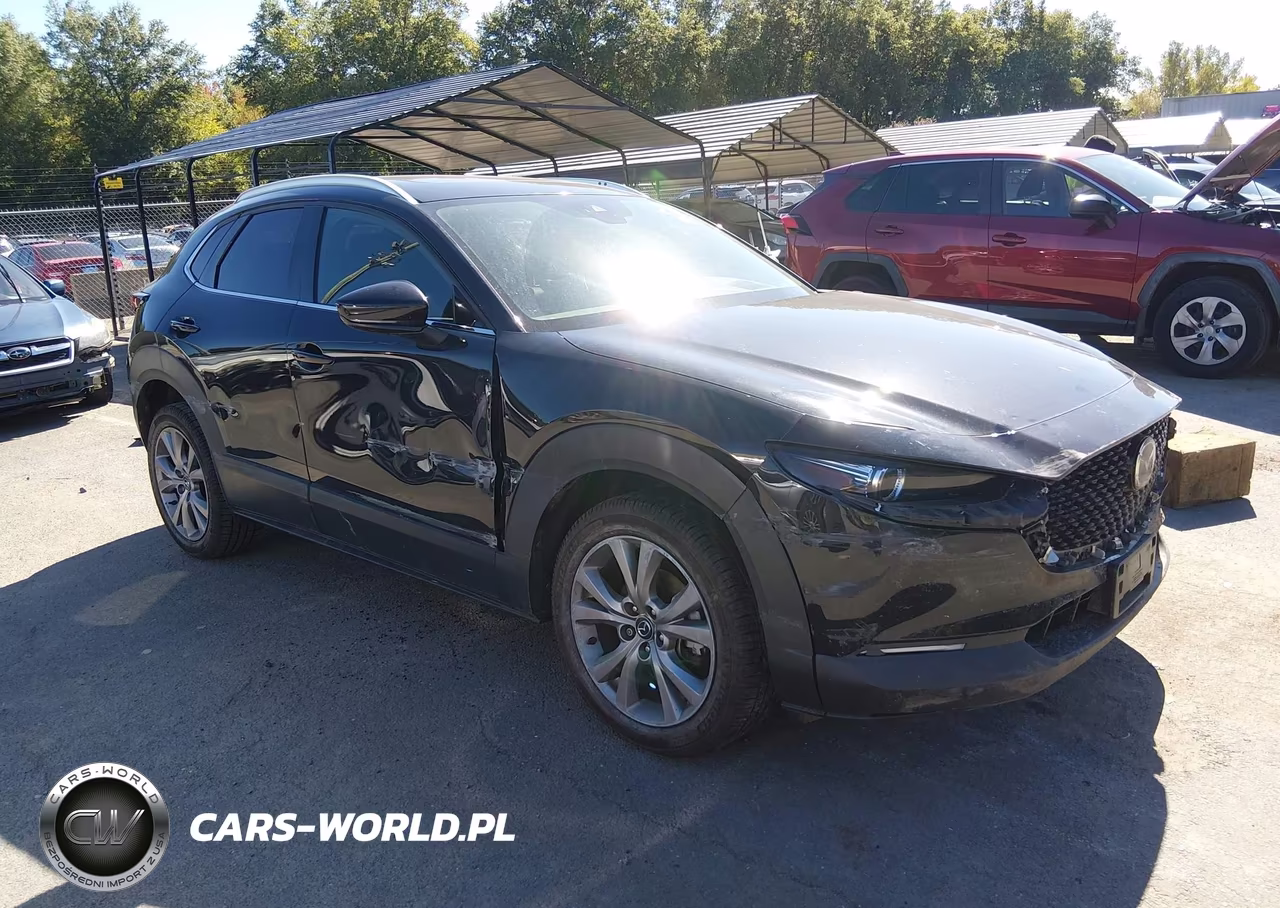 2021 Mazda Cx-30 Premium VIN:3MVDMBDM4MM218667 - 1